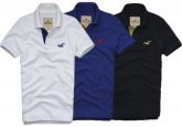 Polo Hollister