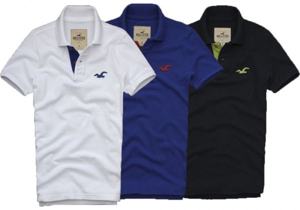 Polo Hollister